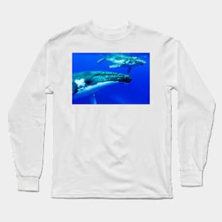 Humpback whale mother and calf (C035/6066) Long Sleeve T-Shirt